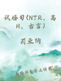 试婚司(NTR、高H、古言)