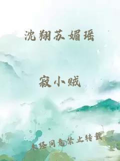 沈翔苏媚瑶