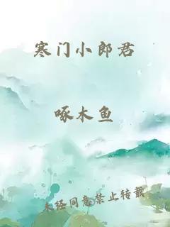 寒门小郎君