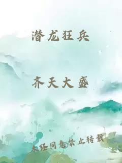 潜龙狂兵