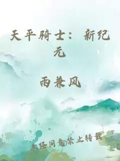 天平骑士：新纪元