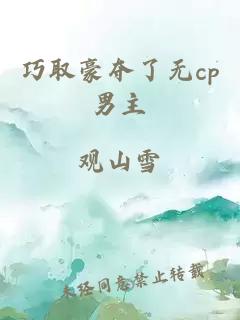 巧取豪夺了无cp男主