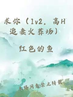 求你（1v2，高H 追妻火葬场）