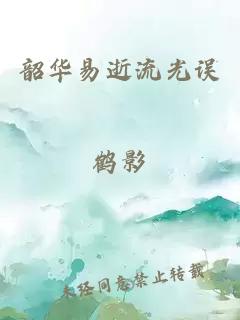 韶华易逝流光误