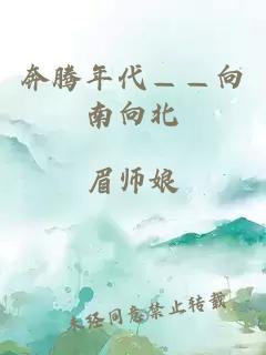 奔腾年代——向南向北