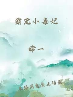 霸宠小毒妃