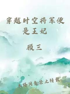 穿越时空将军便是王妃